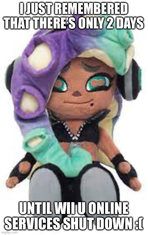 Marina plush | I JUST REMEMBERED THAT THERE’S ONLY 2 DAYS; UNTIL WII U ONLINE SERVICES SHUT DOWN :( | image tagged in marina plush | made w/ Imgflip meme maker