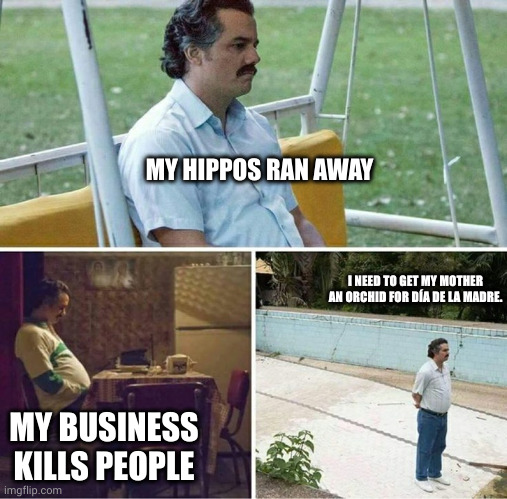 Don't forget Mother's Day | MY HIPPOS RAN AWAY; I NEED TO GET MY MOTHER AN ORCHID FOR DÍA DE LA MADRE. MY BUSINESS KILLS PEOPLE | image tagged in forever alone,sad pablo escobar,memes,happy mother's day,hippopotamus,narcos | made w/ Imgflip meme maker