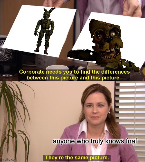 They're The Same Picture Meme | anyone who truly knows fnaf | image tagged in memes,they're the same picture | made w/ Imgflip meme maker