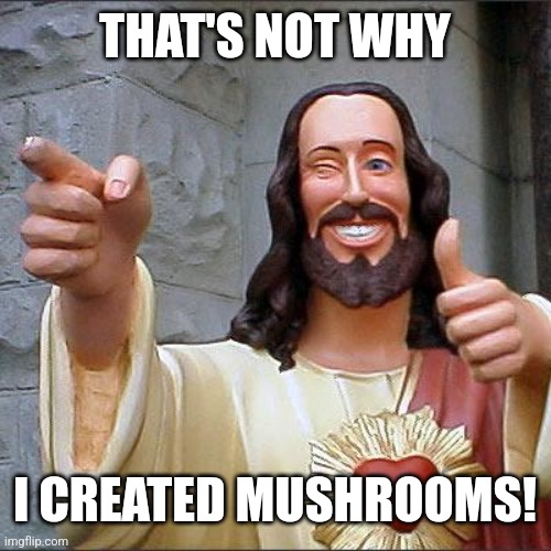 Buddy Christ Meme | THAT'S NOT WHY I CREATED MUSHROOMS! | image tagged in memes,buddy christ | made w/ Imgflip meme maker