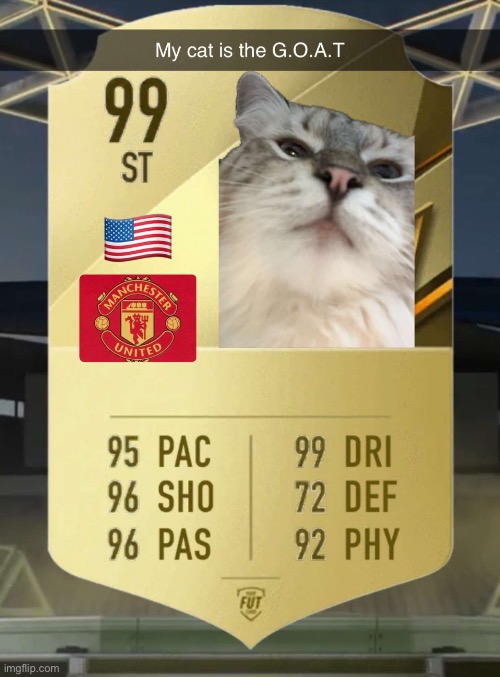 Grace is the GOAT | image tagged in soccer,grace,cat,fifa,ratings,best | made w/ Imgflip meme maker