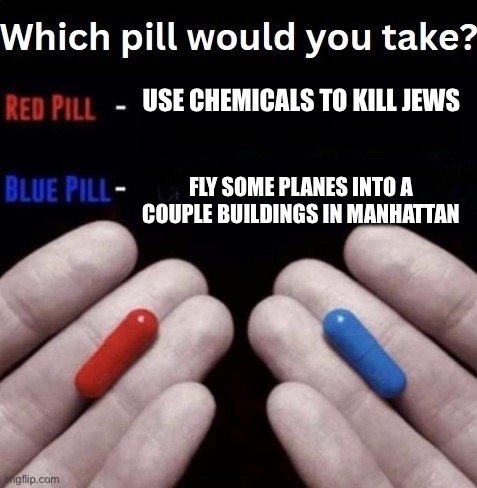 Comment which pill, YOU HAVE TO TAKE ONE | USE CHEMICALS TO KILL JEWS; FLY SOME PLANES INTO A COUPLE BUILDINGS IN MANHATTAN | image tagged in which pill would you take | made w/ Imgflip meme maker
