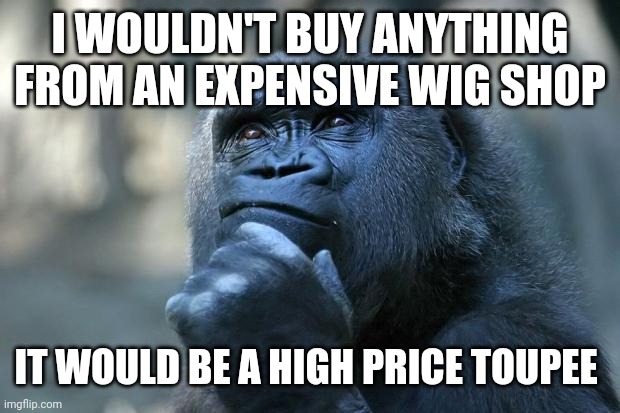 Deep Thoughts | I WOULDN'T BUY ANYTHING FROM AN EXPENSIVE WIG SHOP; IT WOULD BE A HIGH PRICE TOUPEE | image tagged in deep thoughts | made w/ Imgflip meme maker