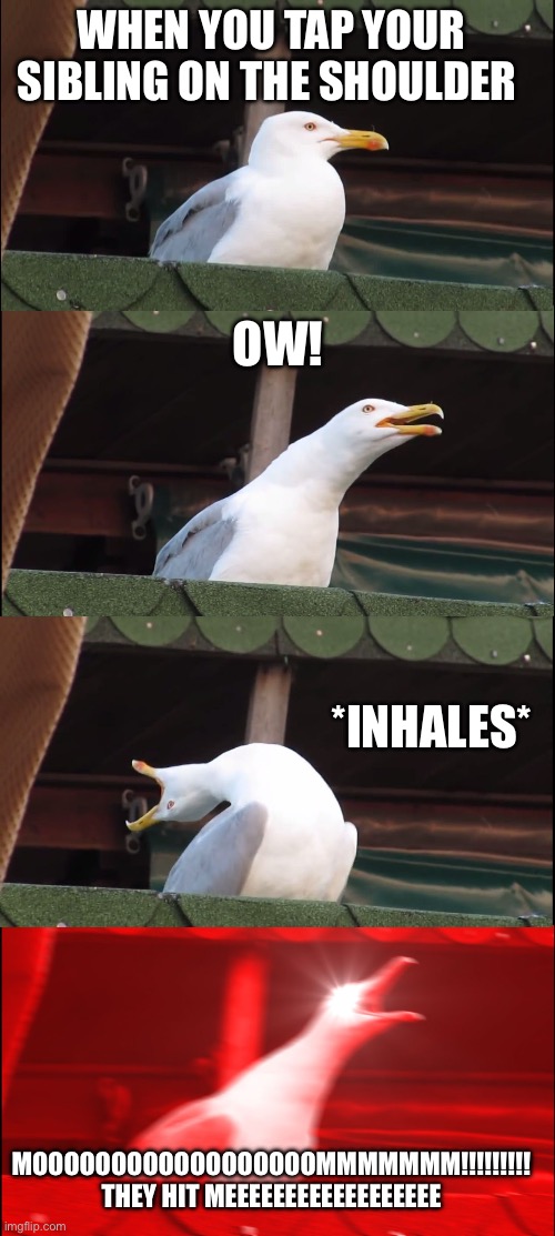 Inhaling Seagull | WHEN YOU TAP YOUR SIBLING ON THE SHOULDER; OW! *INHALES*; MOOOOOOOOOOOOOOOOOOMMMMMMM!!!!!!!!! THEY HIT MEEEEEEEEEEEEEEEEEE | image tagged in memes,inhaling seagull | made w/ Imgflip meme maker