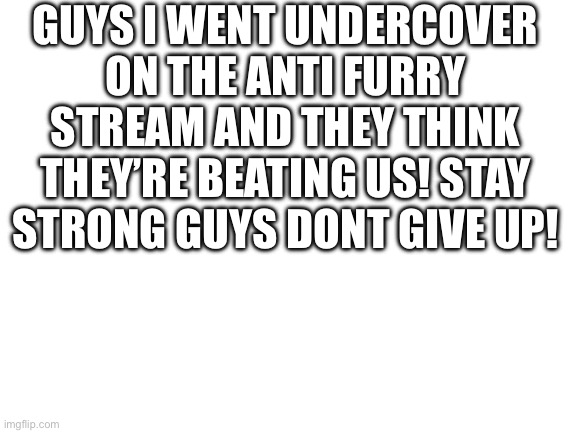 Blank White Template | GUYS I WENT UNDERCOVER ON THE ANTI FURRY STREAM AND THEY THINK THEY’RE BEATING US! STAY STRONG GUYS DONT GIVE UP! | image tagged in blank white template | made w/ Imgflip meme maker