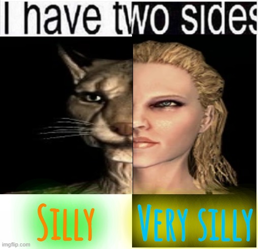 i have two sides | Silly; Very silly | image tagged in i have two sides | made w/ Imgflip meme maker