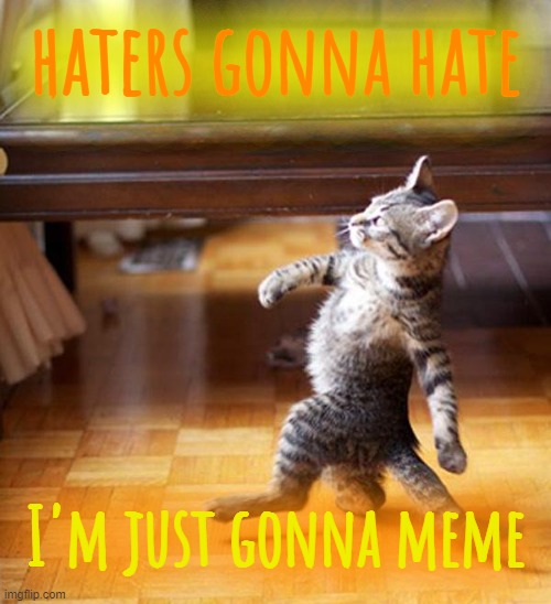 Haters gonna hate | haters gonna hate; I'm just gonna meme | image tagged in haters gonna hate | made w/ Imgflip meme maker