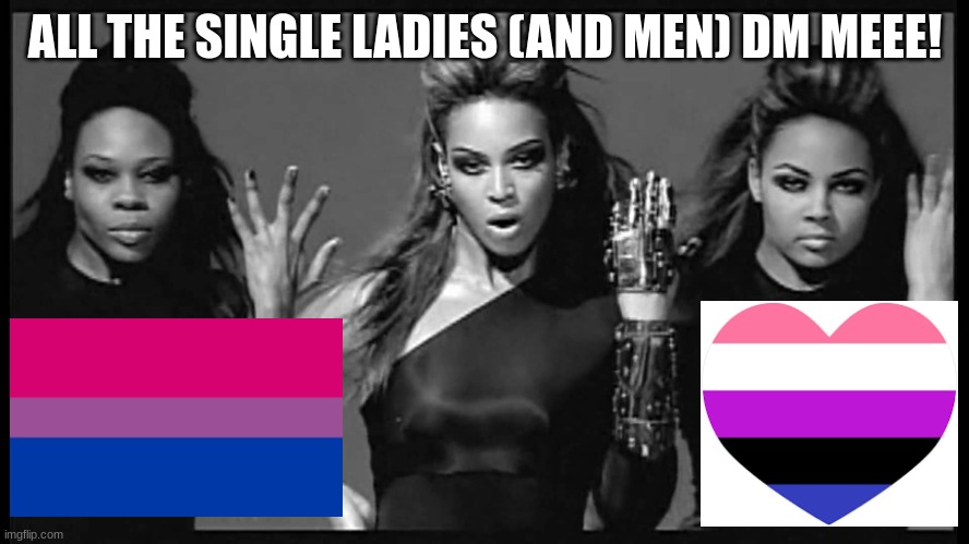 take this as you wish. mainly as a joke XD but if your serious feel free ig idrc | ALL THE SINGLE LADIES (AND MEN) DM MEEE! | image tagged in beyonce single ladies | made w/ Imgflip meme maker