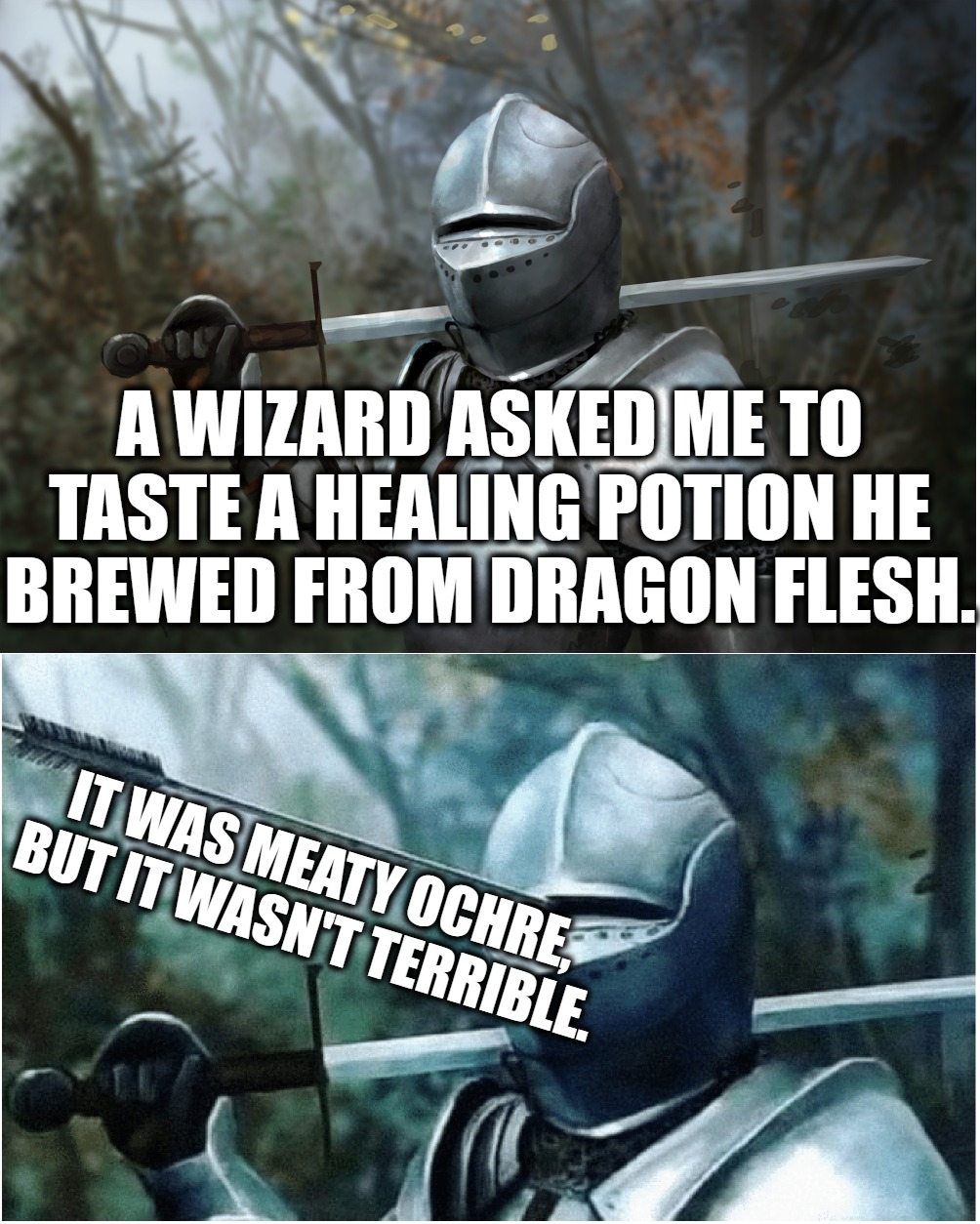 A mediocre pun | A WIZARD ASKED ME TO TASTE A HEALING POTION HE
BREWED FROM DRAGON FLESH. IT WAS MEATY OCHRE, BUT IT WASN'T TERRIBLE. | image tagged in knight with arrow in helmet | made w/ Imgflip meme maker