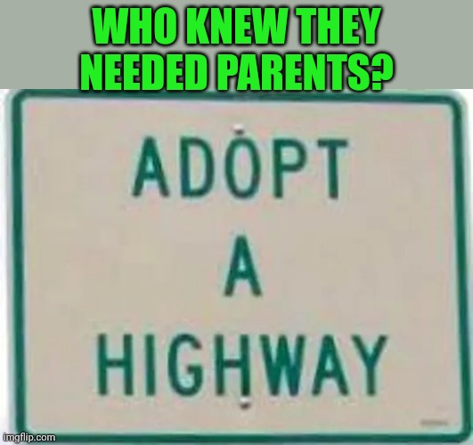 Adopt a highway | WHO KNEW THEY NEEDED PARENTS? | image tagged in adopt a highway | made w/ Imgflip meme maker