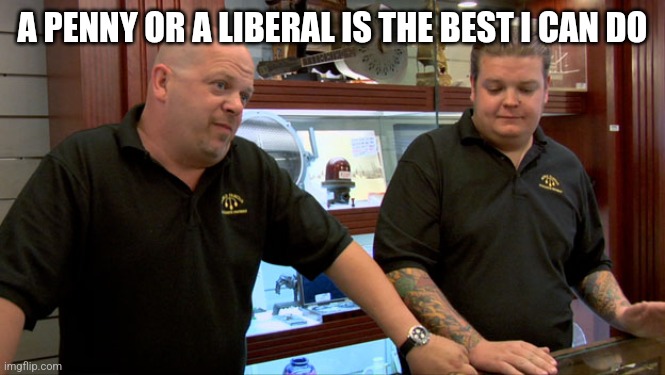 Pawn Stars Best I Can Do | A PENNY OR A LIBERAL IS THE BEST I CAN DO | image tagged in pawn stars best i can do | made w/ Imgflip meme maker