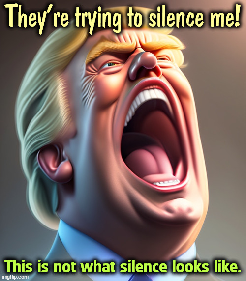 Oh, STFU. | They're trying to silence me! This is not what silence looks like. | image tagged in trump,yell,scream,shout,howl,noise | made w/ Imgflip meme maker