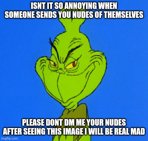 Grinch Smile | ISNT IT SO ANNOYING WHEN SOMEONE SENDS YOU NUDES OF THEMSELVES; PLEASE DONT DM ME YOUR NUDES AFTER SEEING THIS IMAGE I WILL BE REAL MAD | image tagged in grinch smile | made w/ Imgflip meme maker