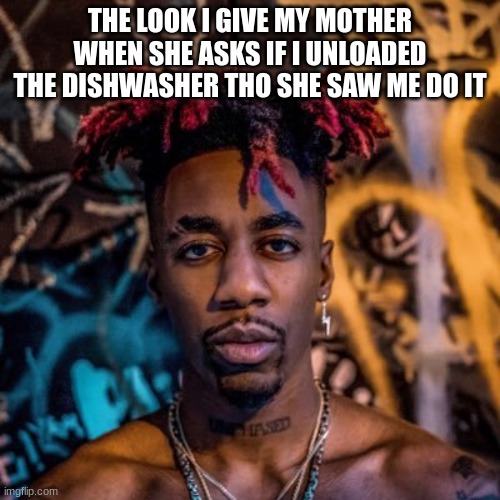 Dax | THE LOOK I GIVE MY MOTHER WHEN SHE ASKS IF I UNLOADED THE DISHWASHER THO SHE SAW ME DO IT | image tagged in dax | made w/ Imgflip meme maker