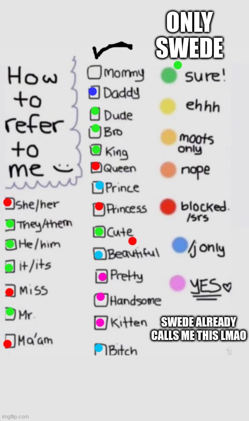 How To Refer To Me :) | ONLY SWEDE; SWEDE ALREADY CALLS ME THIS LMAO | image tagged in how to refer to me | made w/ Imgflip meme maker