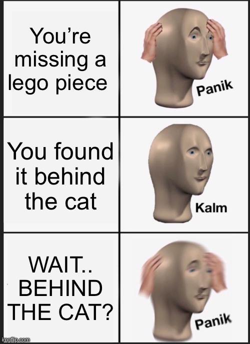 Panik Kalm Panik | You’re missing a lego piece; You found it behind the cat; WAIT.. BEHIND THE CAT? | image tagged in memes,panik kalm panik | made w/ Imgflip meme maker