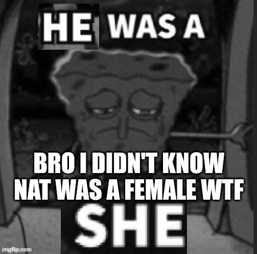 Well that explains why she is kinda uhh.. | BRO I DIDN'T KNOW NAT WAS A FEMALE WTF | image tagged in he was a she | made w/ Imgflip meme maker