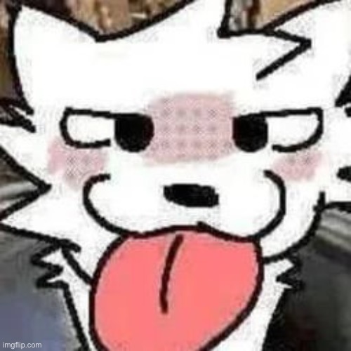 The person above must use this image as their profile picture on their social media websites for 10 hours | made w/ Imgflip meme maker