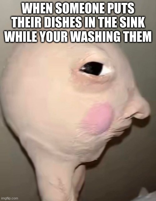 like fr | WHEN SOMEONE PUTS THEIR DISHES IN THE SINK WHILE YOUR WASHING THEM | image tagged in bombastic side-eye | made w/ Imgflip meme maker