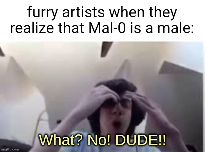 in the SCP-1471 story Capone is referred to as "he" | furry artists when they realize that Mal-0 is a male: | image tagged in what no dude | made w/ Imgflip meme maker