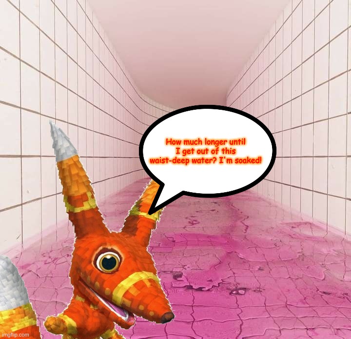 Paulie Pretztail in a watery liminal space | How much longer until I get out of this waist-deep water? I'm soaked! | image tagged in liminal space | made w/ Imgflip meme maker