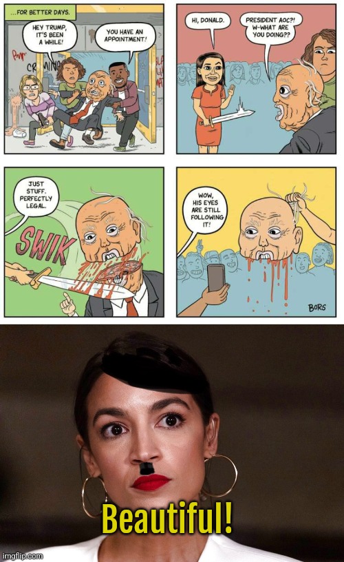 Heil President AoC | Beautiful! | image tagged in dictator dem,aoc,comics | made w/ Imgflip meme maker