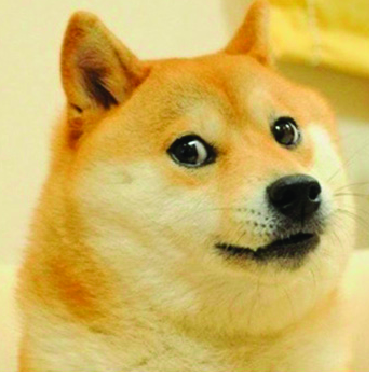 doge coin Blank Meme Template