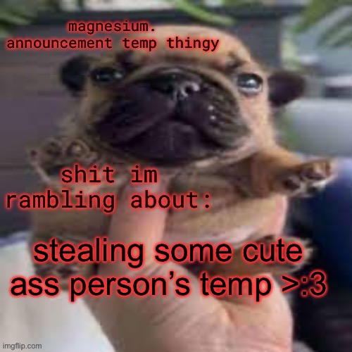 pug temp | stealing some cute ass person’s temp >:3 | image tagged in pug temp | made w/ Imgflip meme maker