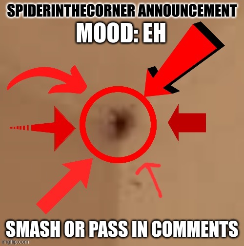 spiderinthecorner announcement | MOOD: EH; SMASH OR PASS IN COMMENTS | image tagged in spiderinthecorner announcement | made w/ Imgflip meme maker