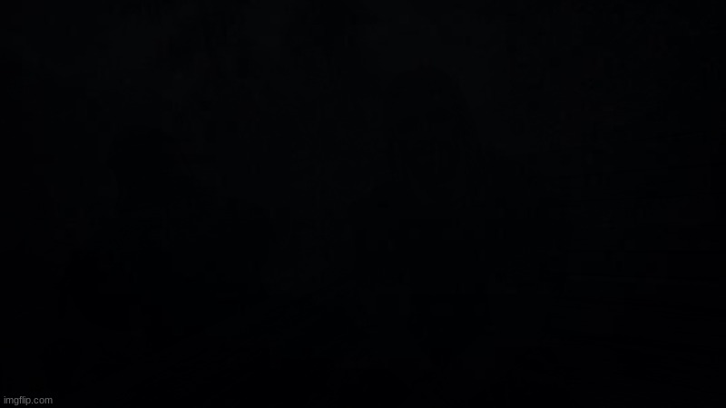 a blank black screen | image tagged in black square | made w/ Imgflip meme maker