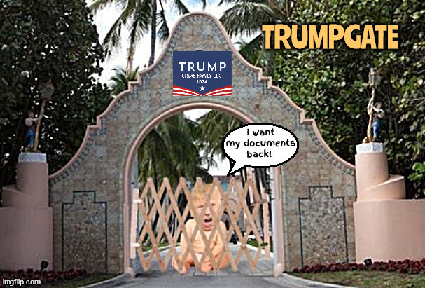 I'm getting treated worse than Baby Face Nelson too! | image tagged in trump crybaby,trump crime family,maga moron,mar-a-lago prison,diaper change | made w/ Imgflip meme maker