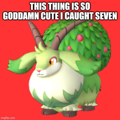 Caprity | THIS THING IS SO GODDAMN CUTE I CAUGHT SEVEN | image tagged in caprity | made w/ Imgflip meme maker