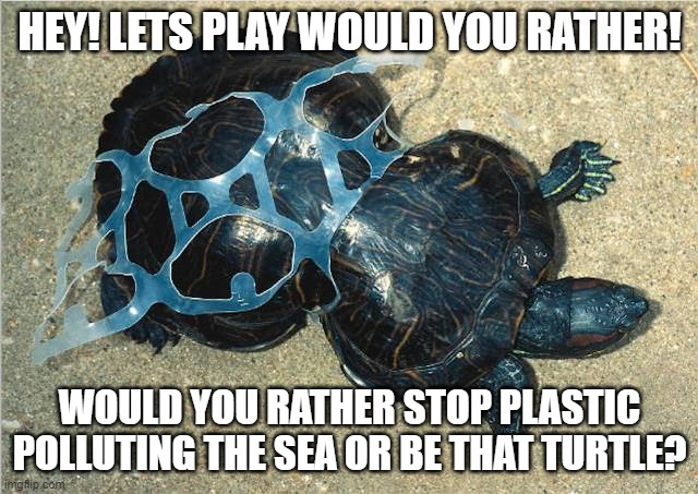 Poor turtle | HEY! LETS PLAY WOULD YOU RATHER! WOULD YOU RATHER STOP PLASTIC POLLUTING THE SEA OR BE THAT TURTLE? | image tagged in i like turtles | made w/ Imgflip meme maker