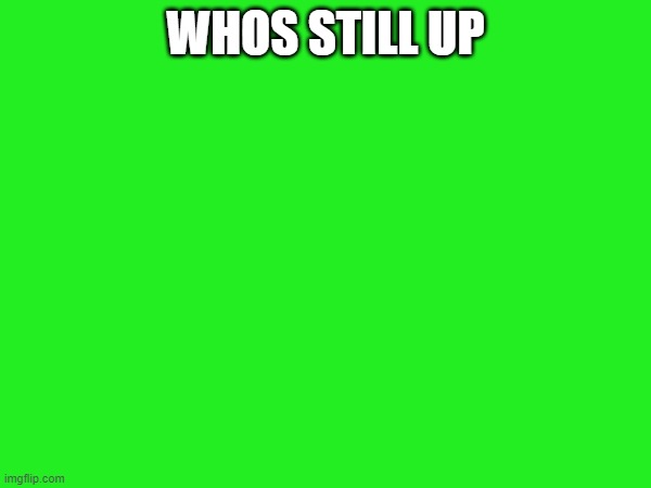 WHOS STILL UP | made w/ Imgflip meme maker