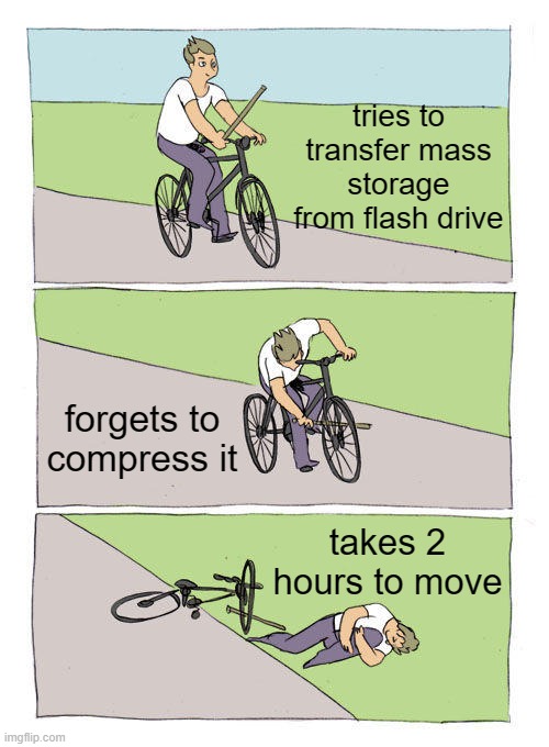 most painful experience | tries to transfer mass storage from flash drive; forgets to compress it; takes 2 hours to move | image tagged in memes,bike fall,computer | made w/ Imgflip meme maker