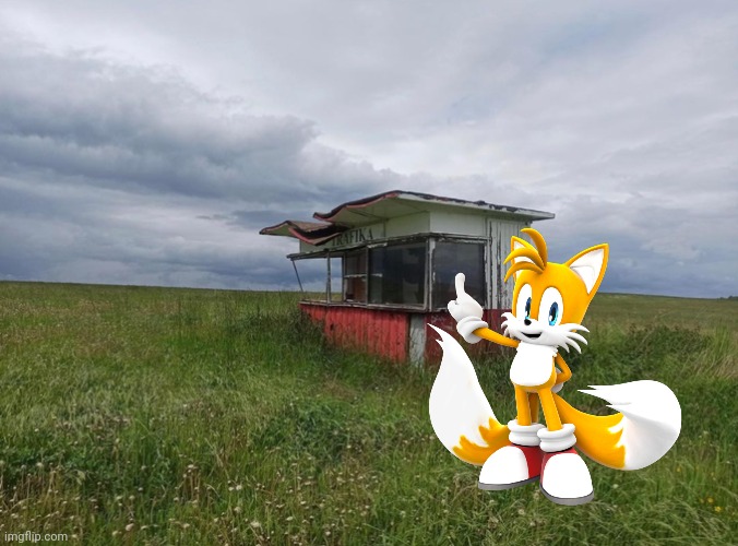 Tails in the Liminal Space | image tagged in liminal space | made w/ Imgflip meme maker