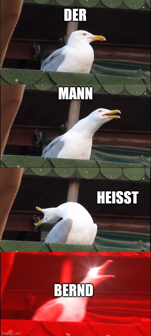 Inhaling Seagull Meme | DER; MANN; HEISST; BERND | image tagged in memes,inhaling seagull | made w/ Imgflip meme maker