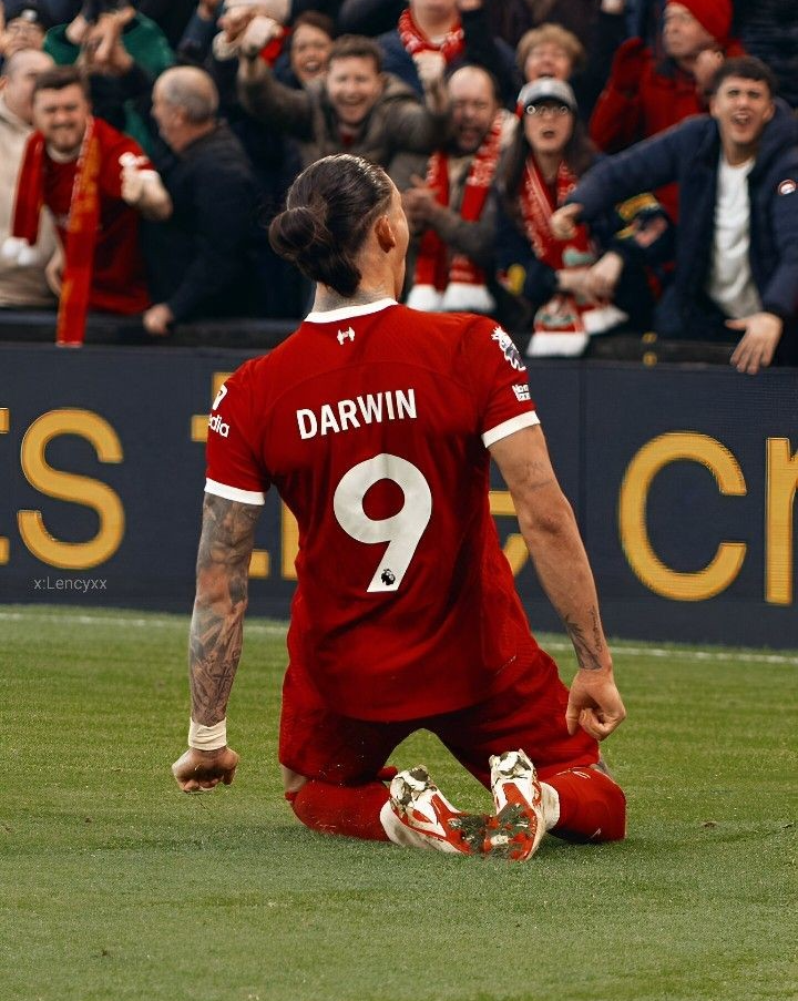 Darwizzy Blank Meme Template