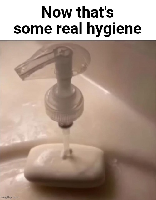 soap | Now that's some real hygiene | image tagged in soap | made w/ Imgflip meme maker