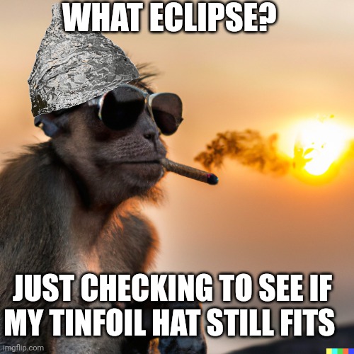 eclipse memes | WHAT ECLIPSE? JUST CHECKING TO SEE IF MY TINFOIL HAT STILL FITS | image tagged in solar eclipse | made w/ Imgflip meme maker
