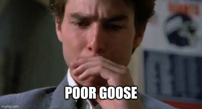 Tom Cruise Crying | POOR GOOSE | image tagged in tom cruise crying | made w/ Imgflip meme maker