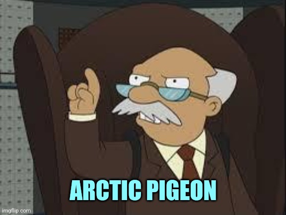Technically Correct | ARCTIC PIGEON | image tagged in technically correct | made w/ Imgflip meme maker