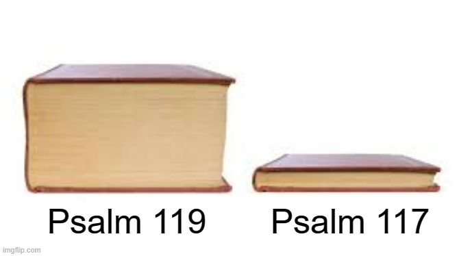 psalms | Psalm 117; Psalm 119 | image tagged in big book small book | made w/ Imgflip meme maker