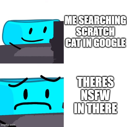 bracelity reaction | ME SEARCHING SCRATCH CAT IN GOOGLE; THERES NSFW IN THERE | image tagged in bracelity reaction | made w/ Imgflip meme maker