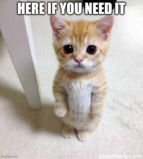 Cute Cat Meme | HERE IF YOU NEED IT | image tagged in memes,cute cat | made w/ Imgflip meme maker