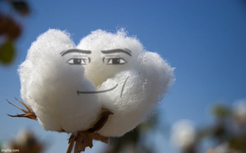 fist on the cotton | image tagged in fist on the cotton | made w/ Imgflip meme maker