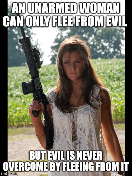 Gun rights, women, sexy, hot | AN UNARMED WOMAN CAN ONLY FLEE FROM EVIL; BUT EVIL IS NEVER OVERCOME BY FLEEING FROM IT | image tagged in sexy women,gun control,gun rights | made w/ Imgflip meme maker