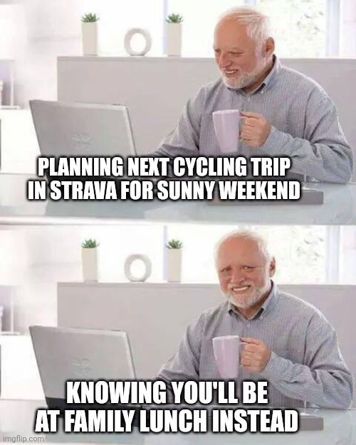 When you have to swallow it | PLANNING NEXT CYCLING TRIP IN STRAVA FOR SUNNY WEEKEND; KNOWING YOU'LL BE AT FAMILY LUNCH INSTEAD | image tagged in hide the pain harald,cycling | made w/ Imgflip meme maker