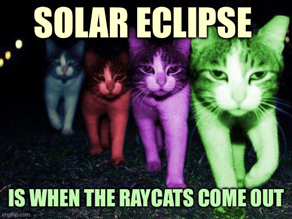 Wrong Neighborhood RayCats | SOLAR ECLIPSE; IS WHEN THE RAYCATS COME OUT | image tagged in wrong neighborhood raycats | made w/ Imgflip meme maker
