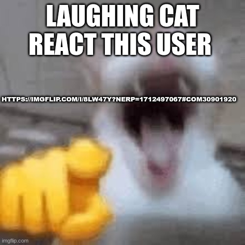 Laughing cat react him | LAUGHING CAT REACT THIS USER; HTTPS://IMGFLIP.COM/I/8LW47Y?NERP=1712497067#COM30901920 | image tagged in goooooo | made w/ Imgflip meme maker
